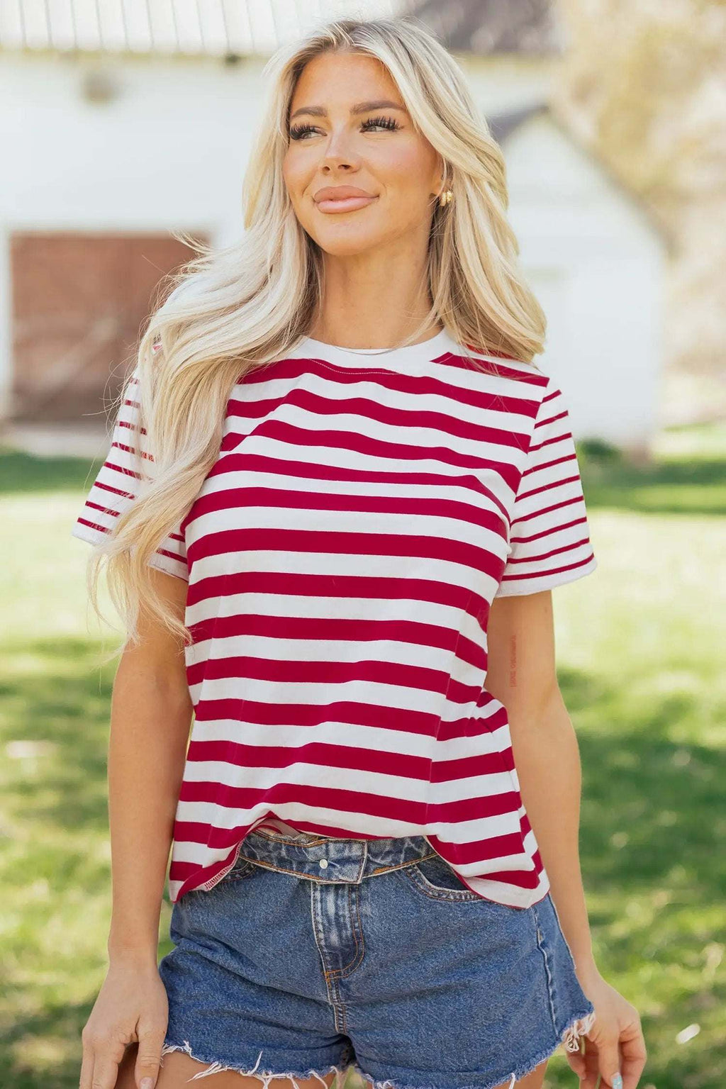 Ursina | Striped Panelled Round Neck Cotton T Shirt